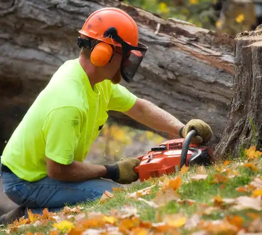 tree services Holiday City South